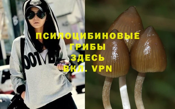 прущая мука Володарск